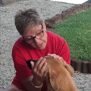 Meet your Posher, Lori